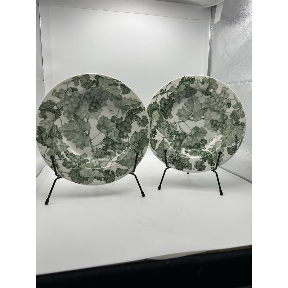 Ceramica Quadrifoglio Rim Soup Bowls Made In Italy Set of 2 Green Grapes